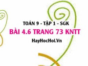 Bài 4.6 Toán 9 tập 1 SGK Kết nối tri thức